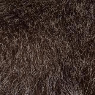 Photo Textures of Animal Skin